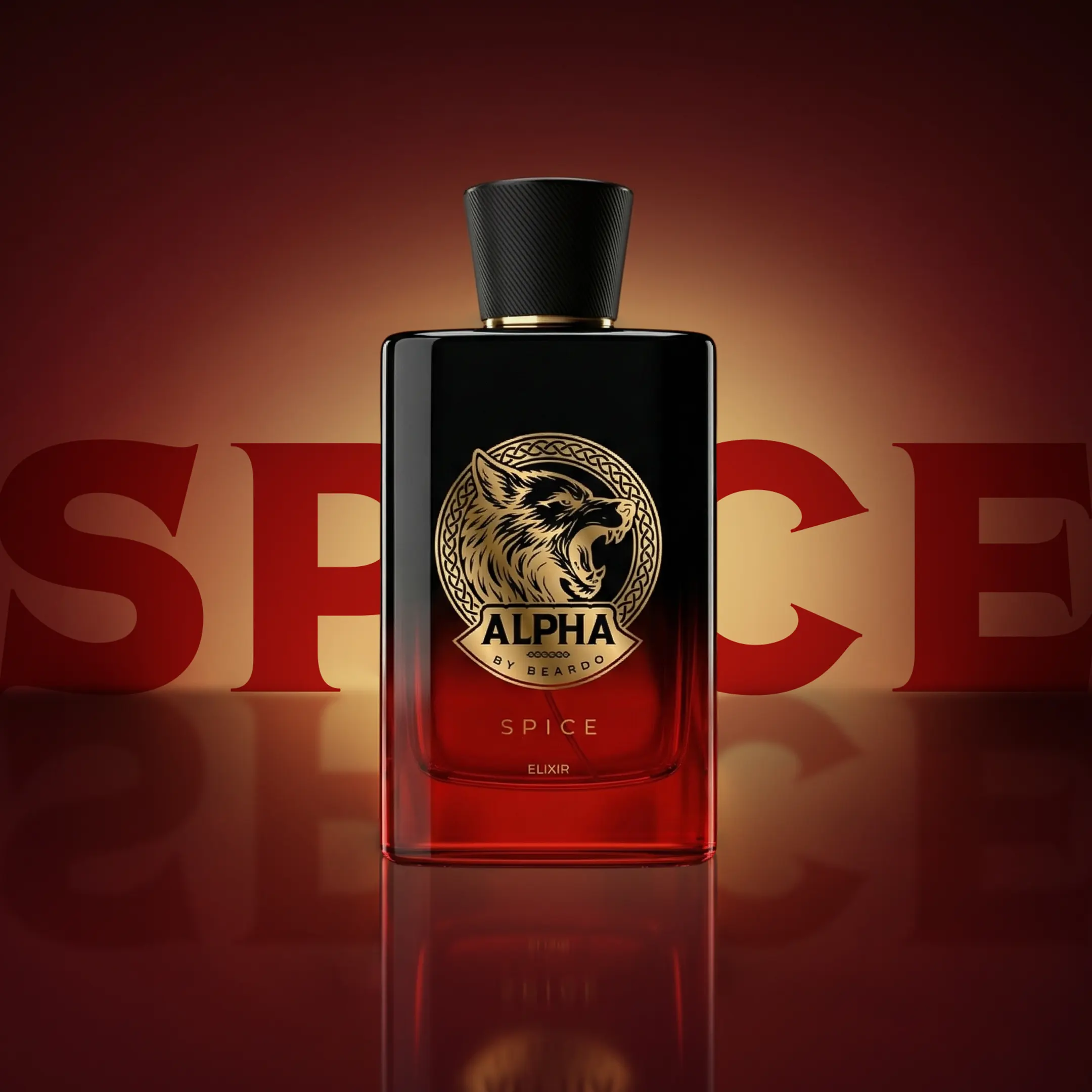 New Launch